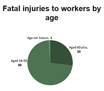 Fatal injuries to workers by age 