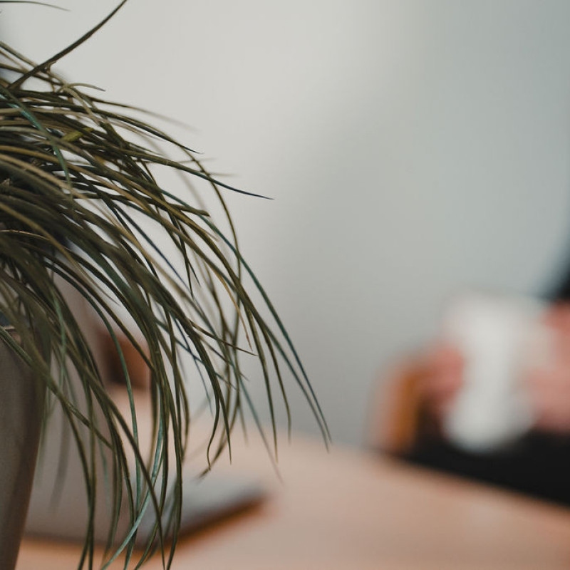 Why choose our Rent Arrears Solicitors?