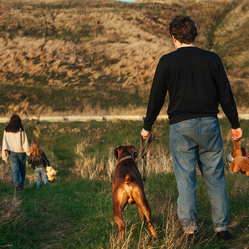 Who Gets the Family Pet After Separation?