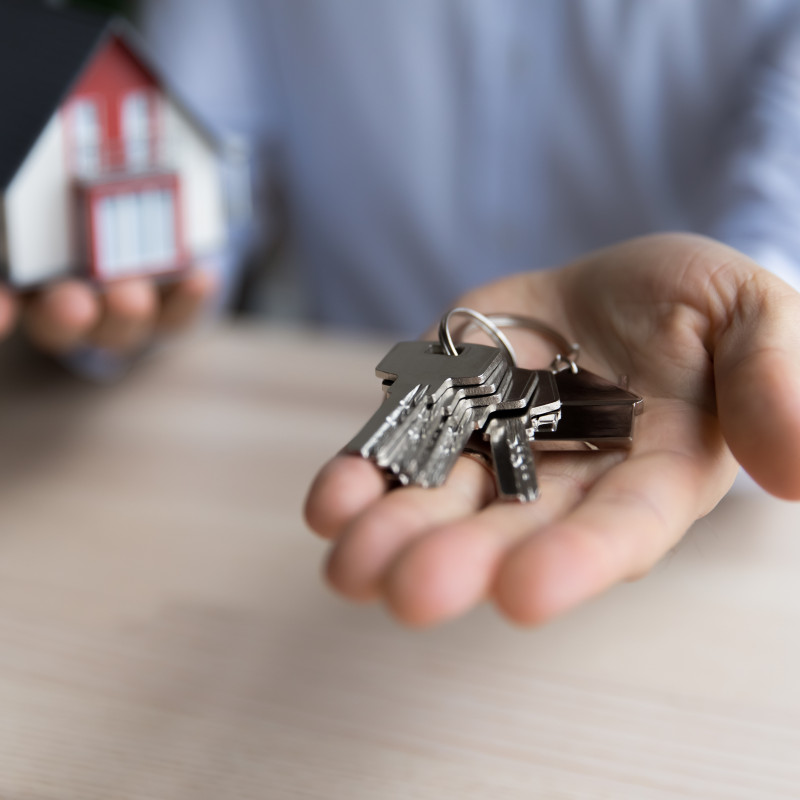 New service launches to help social landlords meet Awaab’s Law obligations