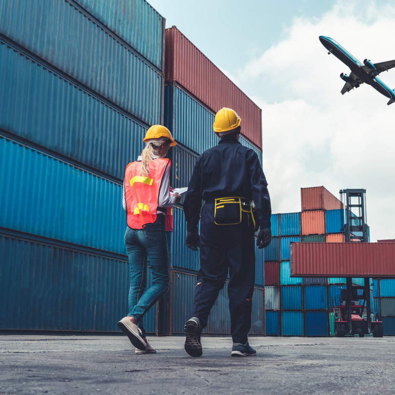 UK supply chain crisis: Brexit, immigration and government response