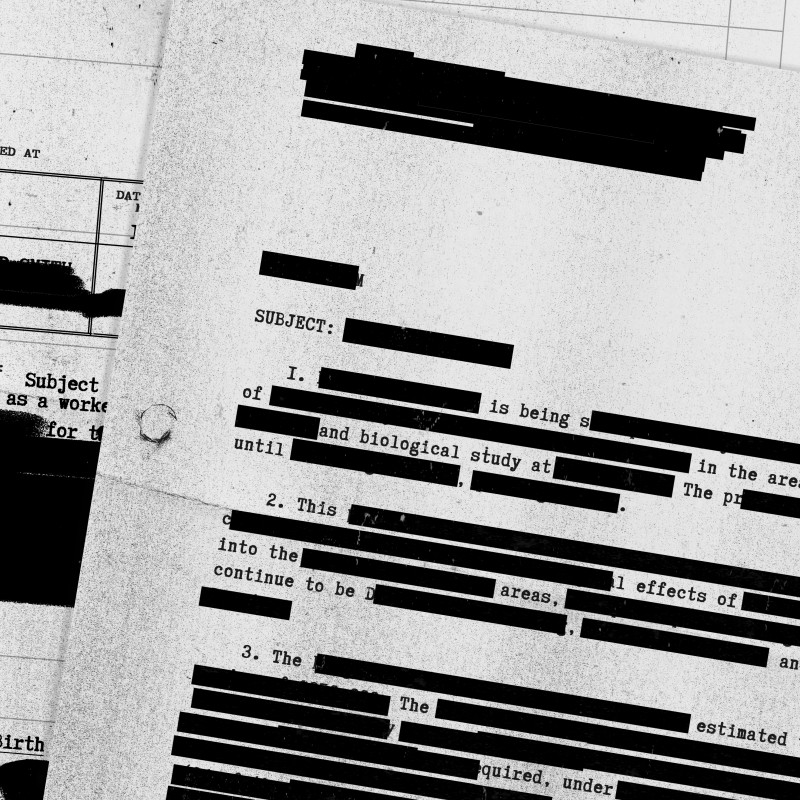 Core Principles Governing Redactions