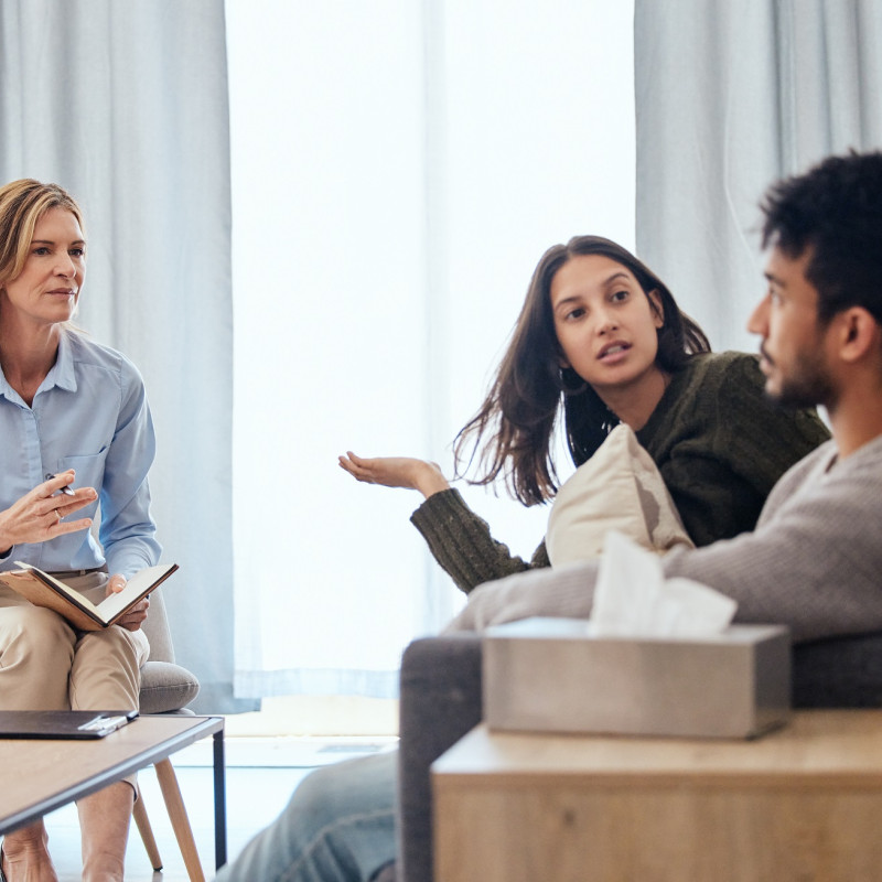 Parental Conflict Key Issues and Professional Intervention